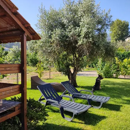 Casa Bocelinhas Gæstehus Arouca