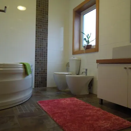 Casa Bocelinhas Guest house Arouca