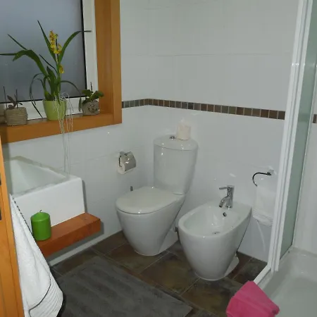 Casa Bocelinhas Gæstehus Arouca